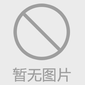 高壓清洗泵的組成與特點